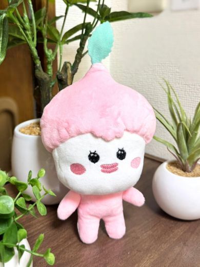 �T�N�������